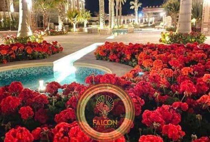 8333377 - صورة العقار 2