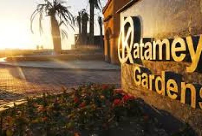 8331397 - Property Image 3