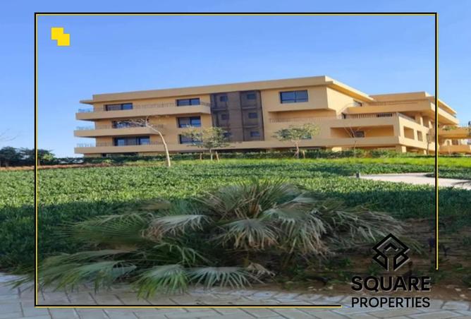 8333895 - صورة العقار 2