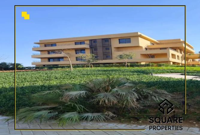 8333895 - صورة العقار 2