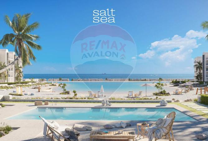 8331896 - صورة العقار 3