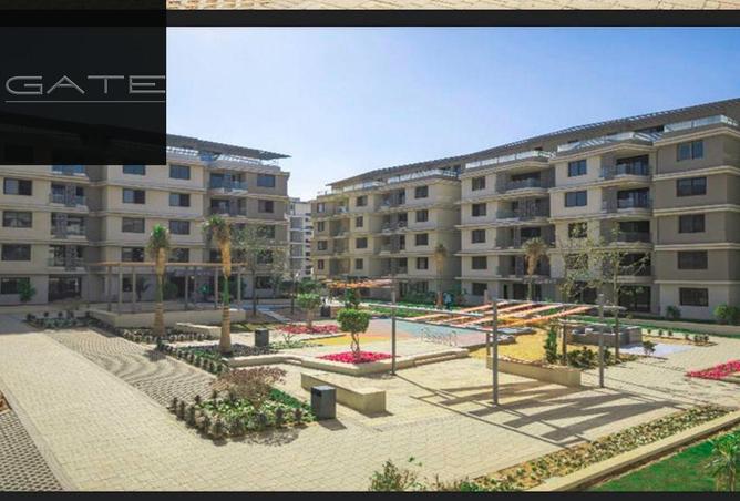 8332428 - Property Image 3