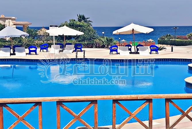 8333009 - Property Image 3