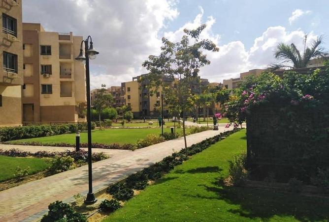 8333587 - Property Image 2