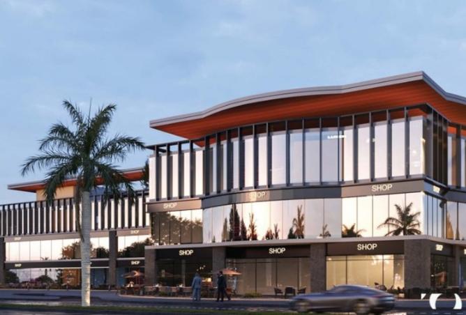 8333231 - Property Image 3