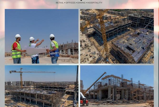 8333470 - Property Image 2