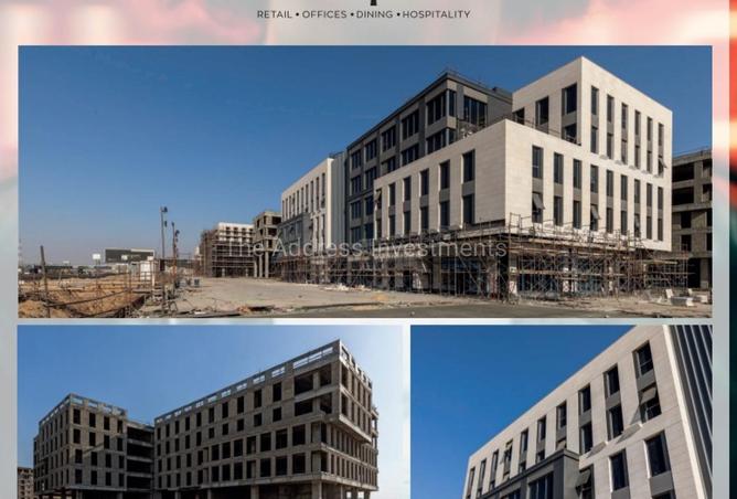 8333470 - Property Image 3