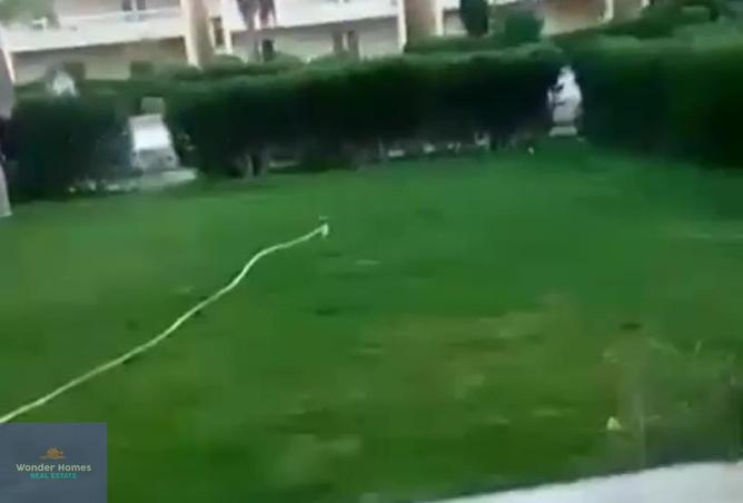 8333806 - Property Image 2