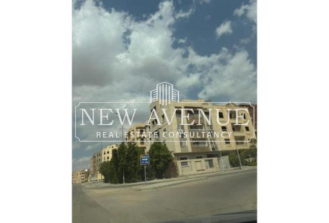 8336326 - Property Image 3