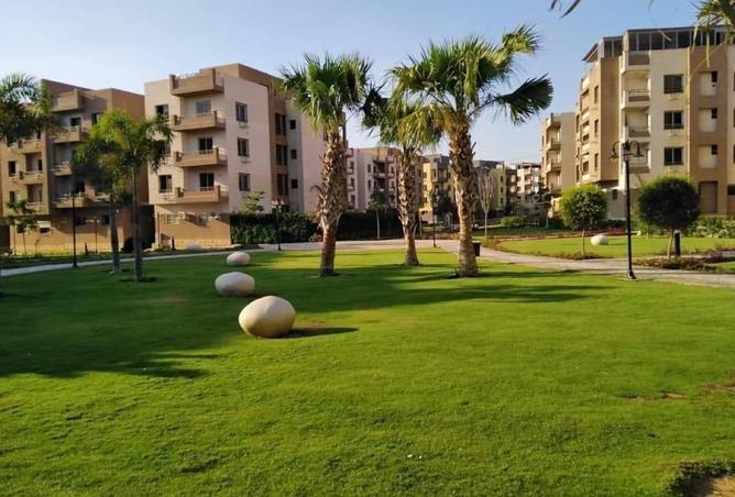 8334795 - صورة العقار 2