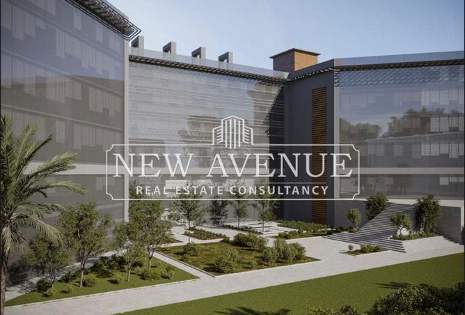 8336413 - Property Image 3