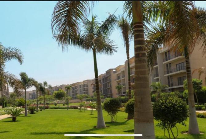 8335256 - صورة العقار 3