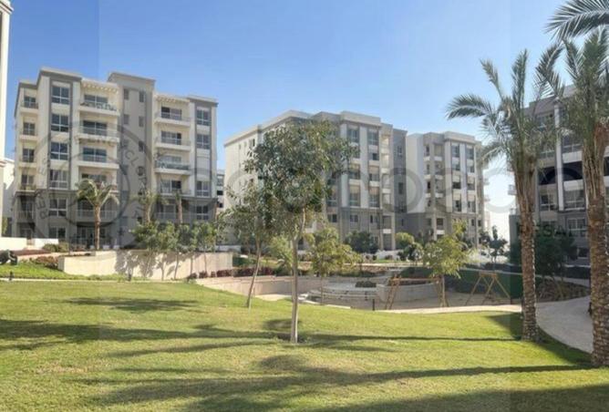 8335332 - Property Image 3