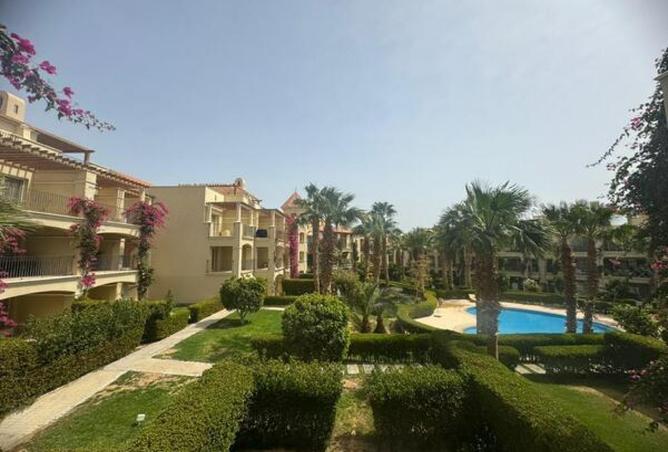 8335584 - Property Image 3