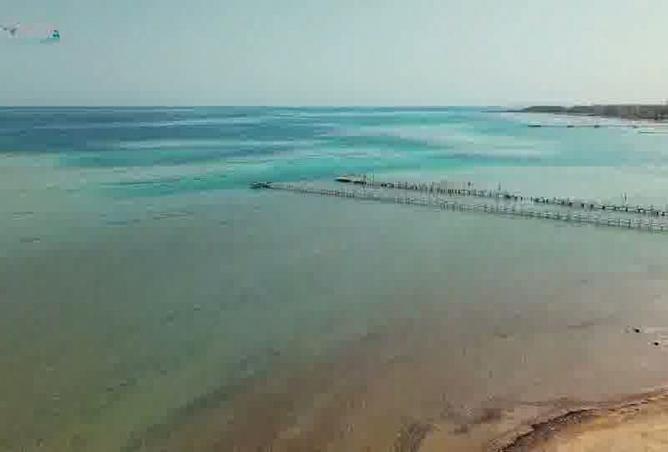 8335609 - صورة العقار 3