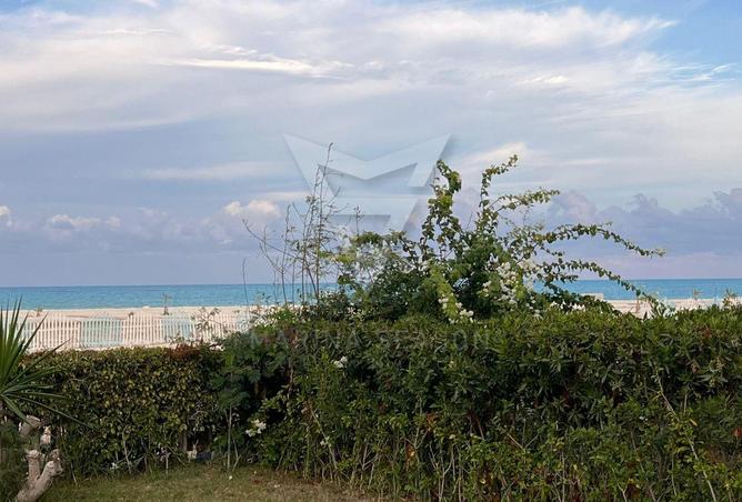 8339150 - صورة العقار 2