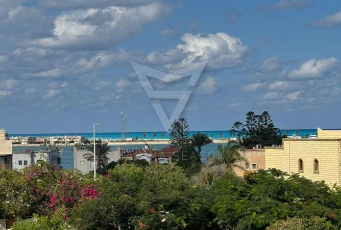 8339142 - الصورة الرئيسية للعقار