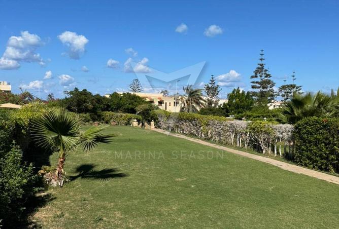 8339142 - صورة العقار 3