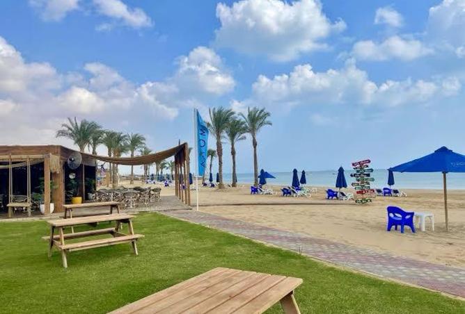 8336243 - Property Image 2