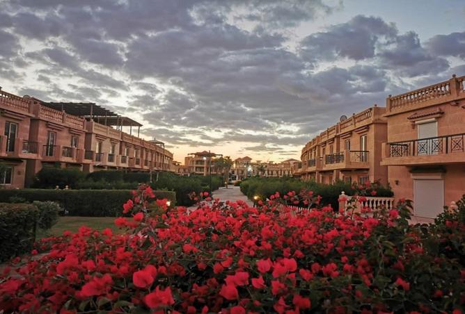 8336484 - Property Image 2