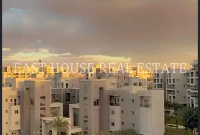 8336717 - Property Image 3