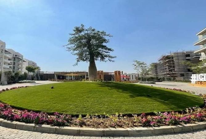 8336885 - صورة العقار 3