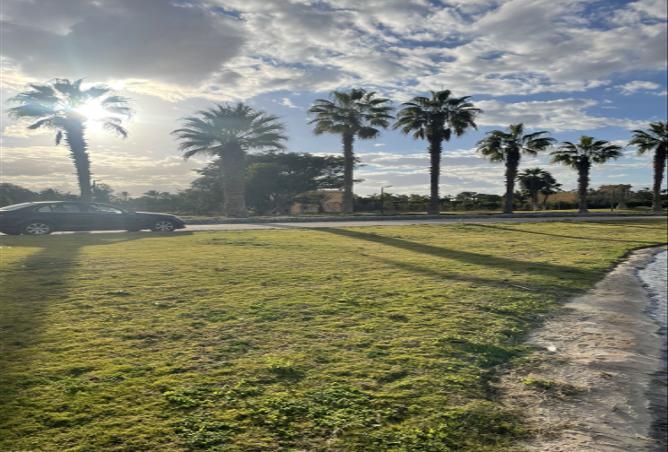 8337154 - الصورة الرئيسية للعقار