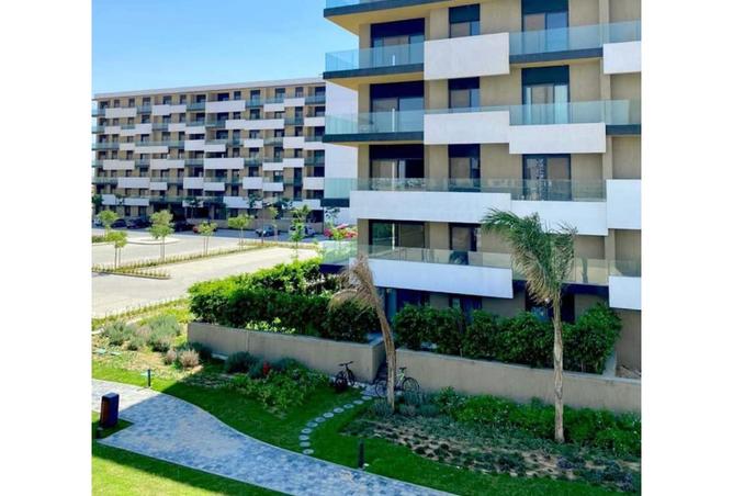 8337153 - Property Image 3