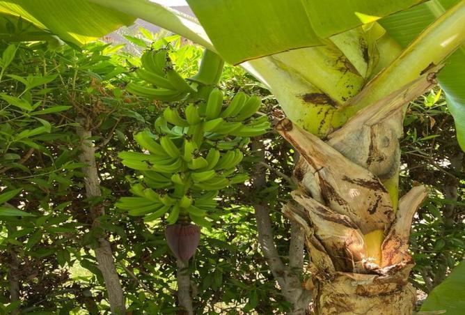 8337803 - Property Image 2