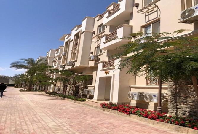 8337771 - Property Image 3