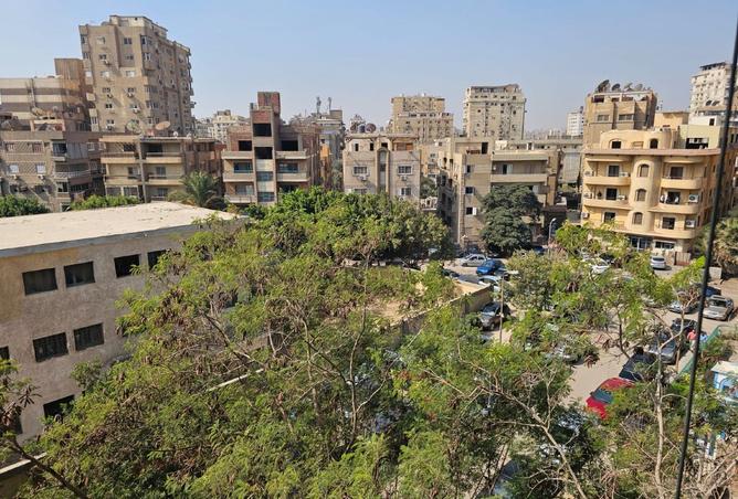 8337959 - Property Image 3