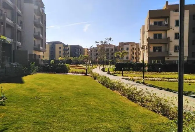 8337967 - صورة العقار 2