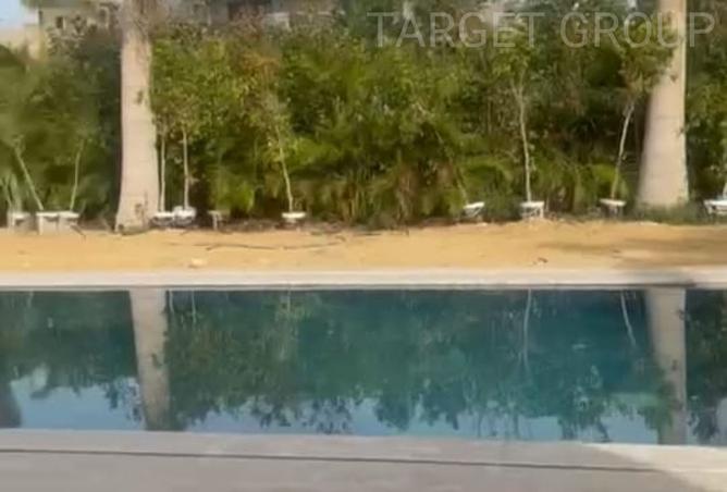 8338046 - Property Image 3