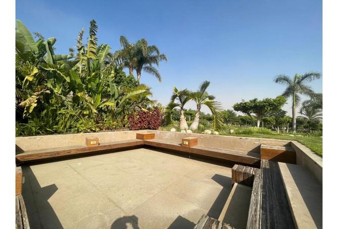 8338293 - Property Image 3