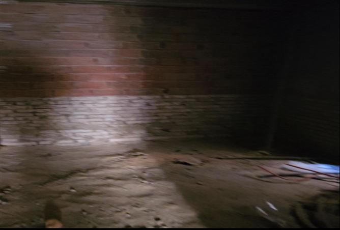 8338475 - Property Image 3