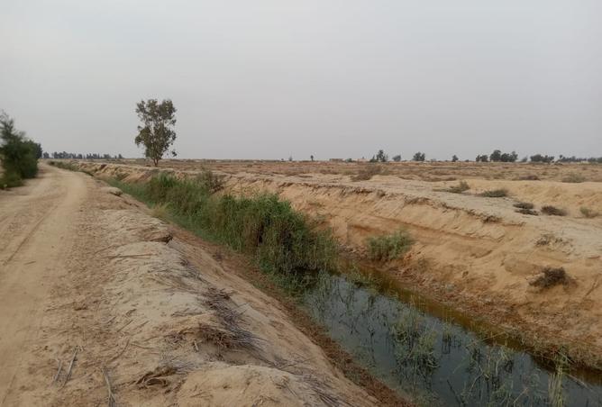 8338787 - الصورة الرئيسية للعقار