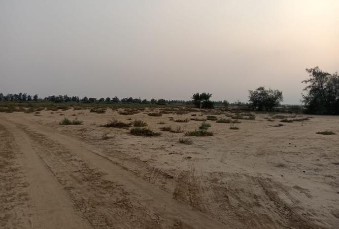 8338787 - صورة العقار 3