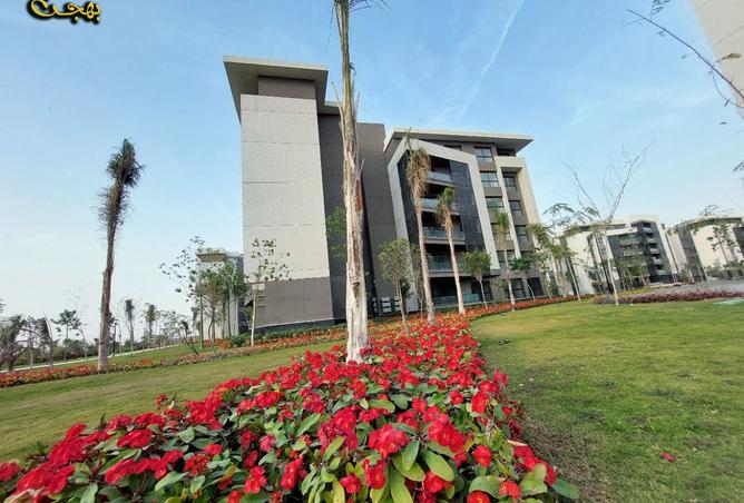 8372832 - Property Image 2