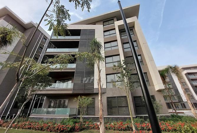 8372832 - Property Image 3