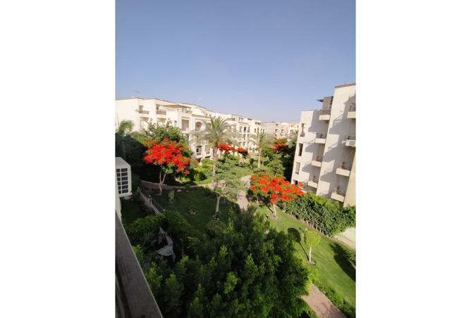 8339287 - Property Image 2