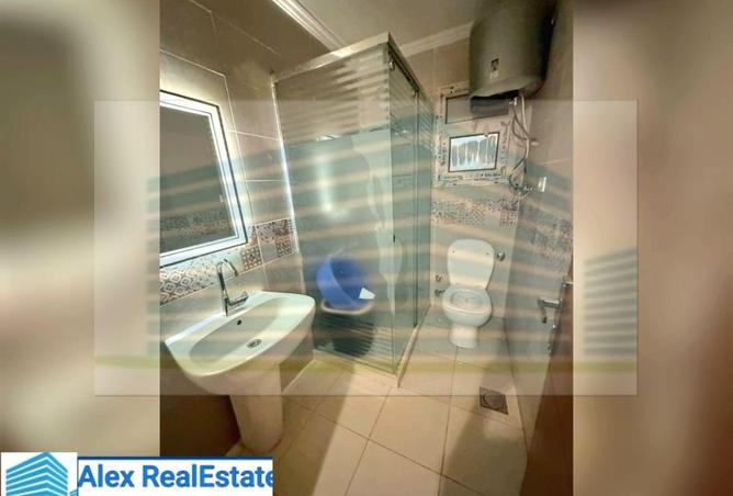 8339475 - Property Image 3