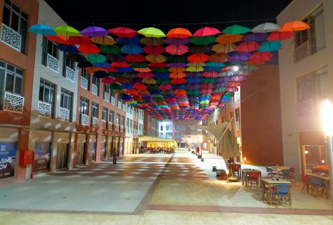 8340584 - Property Image 2