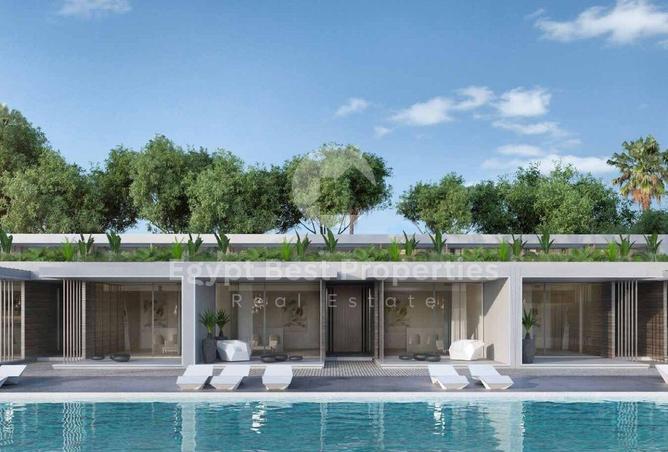 64646801 - Property Image 3