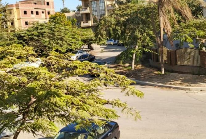 8342421 - Property Image 3