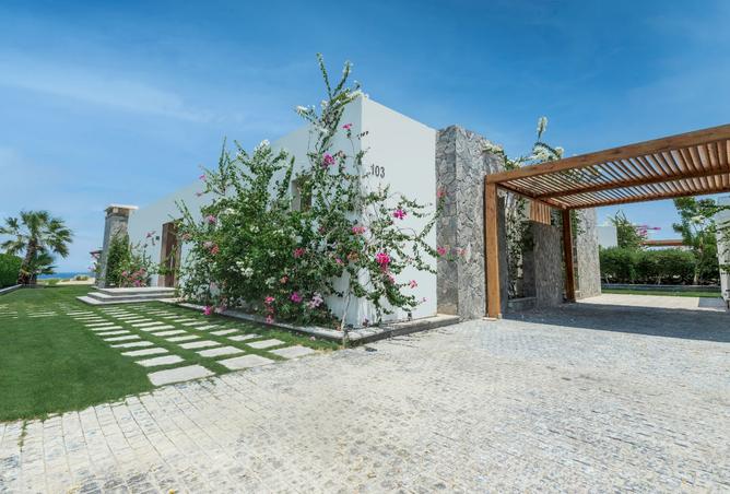 8389135 - Property Image 3