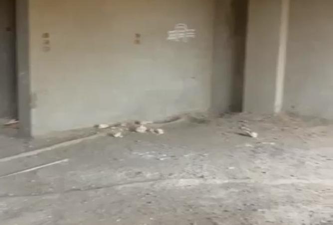 8343411 - صورة العقار 2