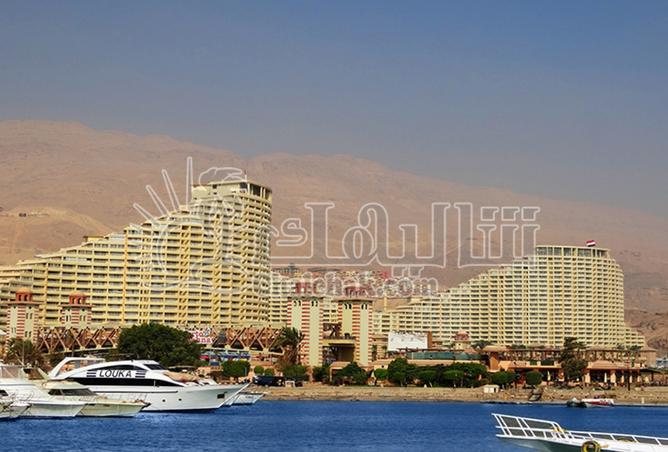 8343517 - Property Image 3