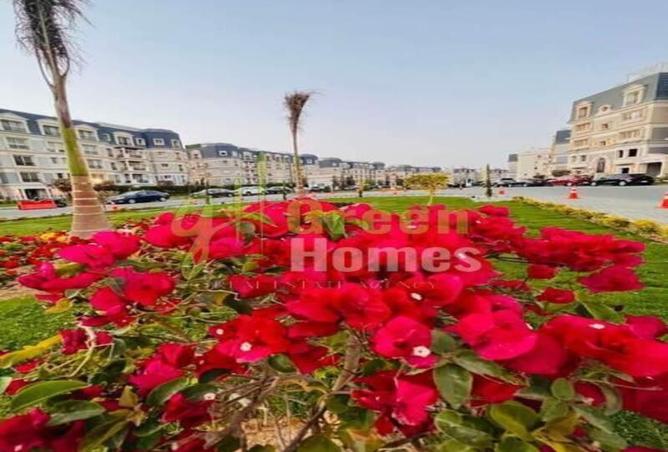 8366749 - Property Image 3