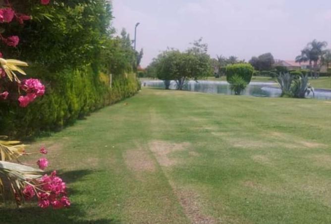 8345645 - صورة العقار 2