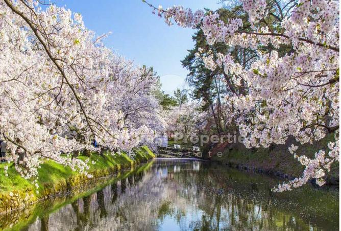 8370174 - صورة العقار 3